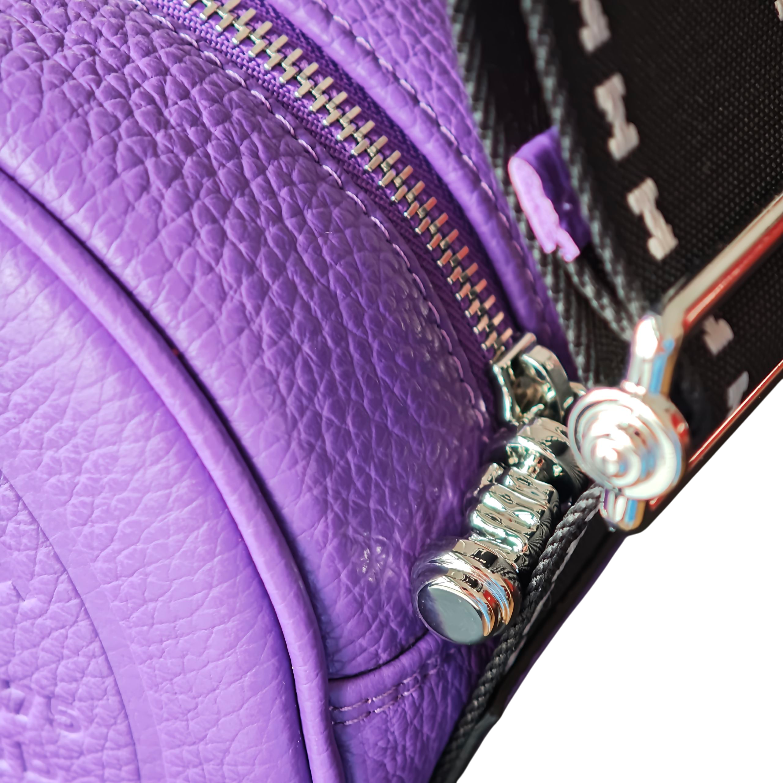 ELEO small - PURPLE pelle grana dollaro